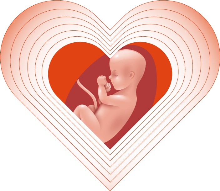 abort-med-hjerte
